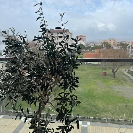Olivea Apartments Velipojë Extérieur photo